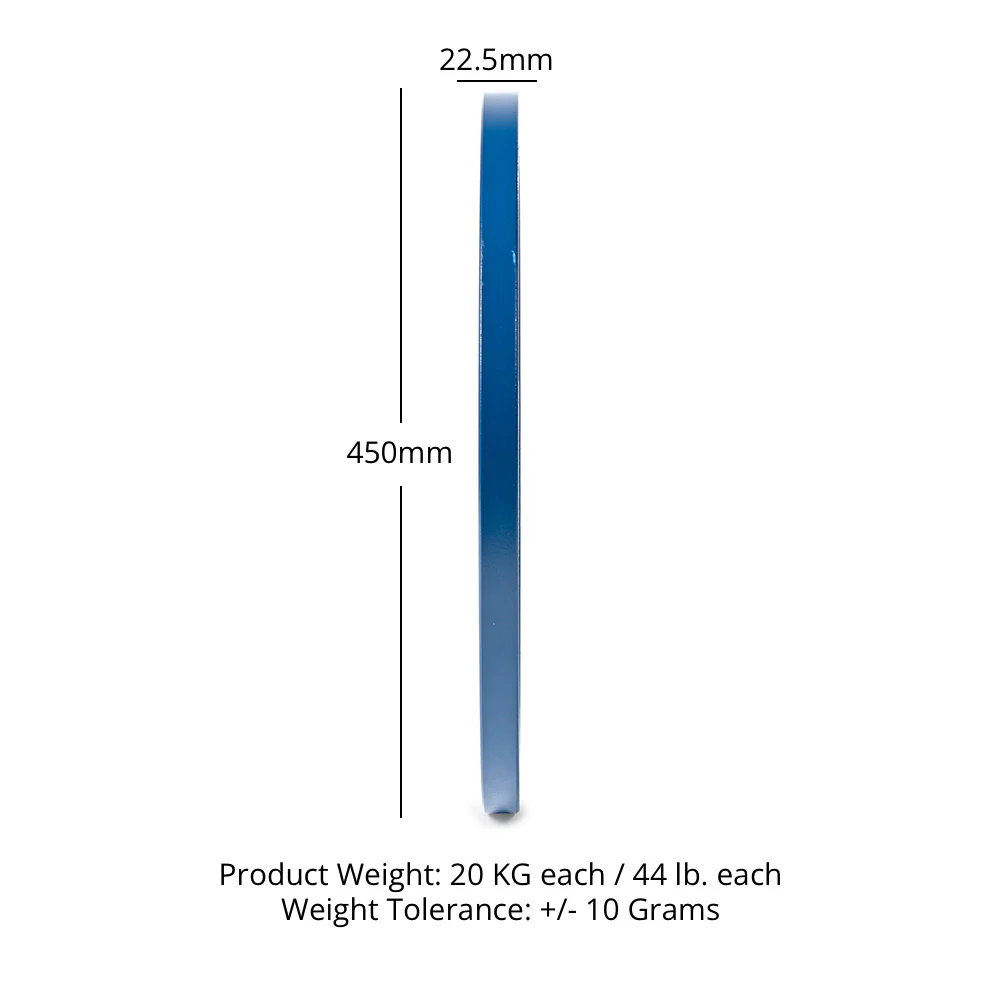 Scratch and Dent, 20 KG Single Calibrated Steel Plate - Image 6